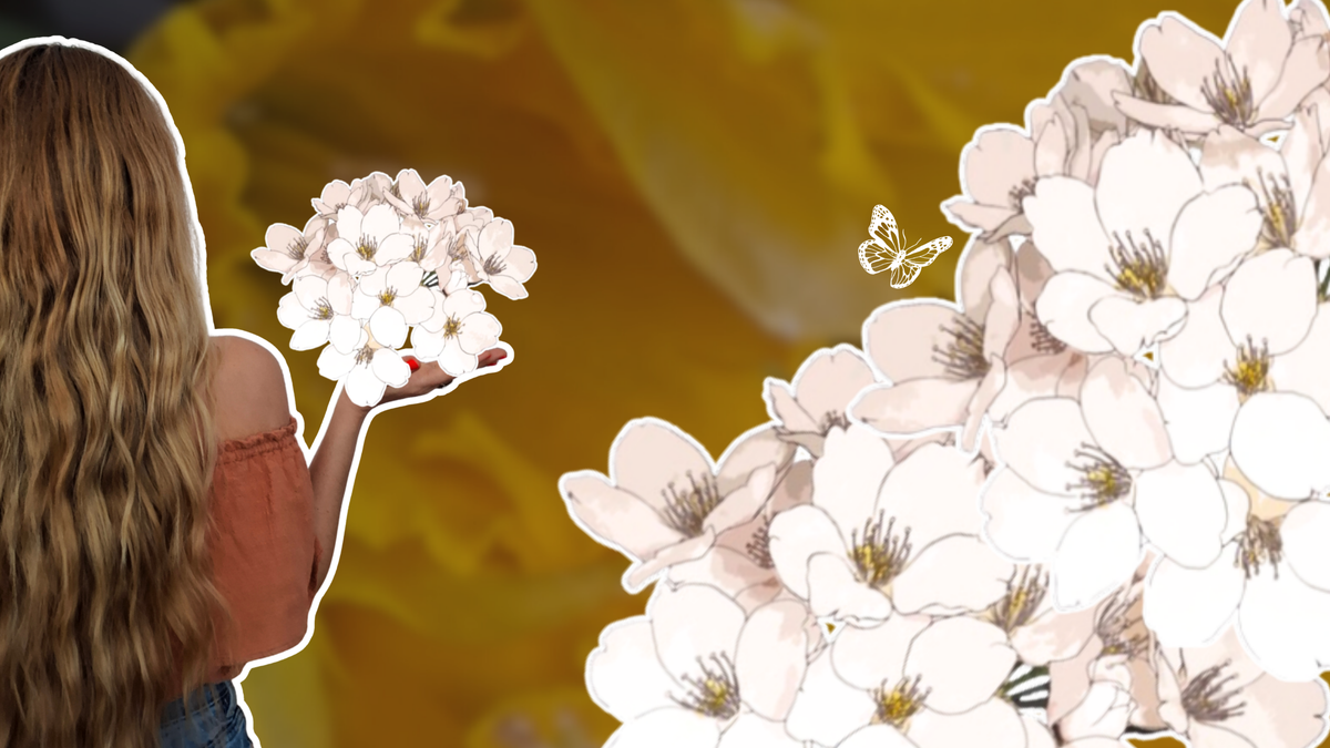 100 Flowers and what they might teach me