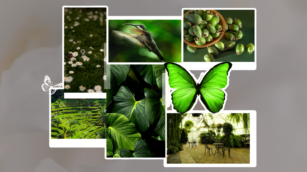 Green - The symbol of nature and balance