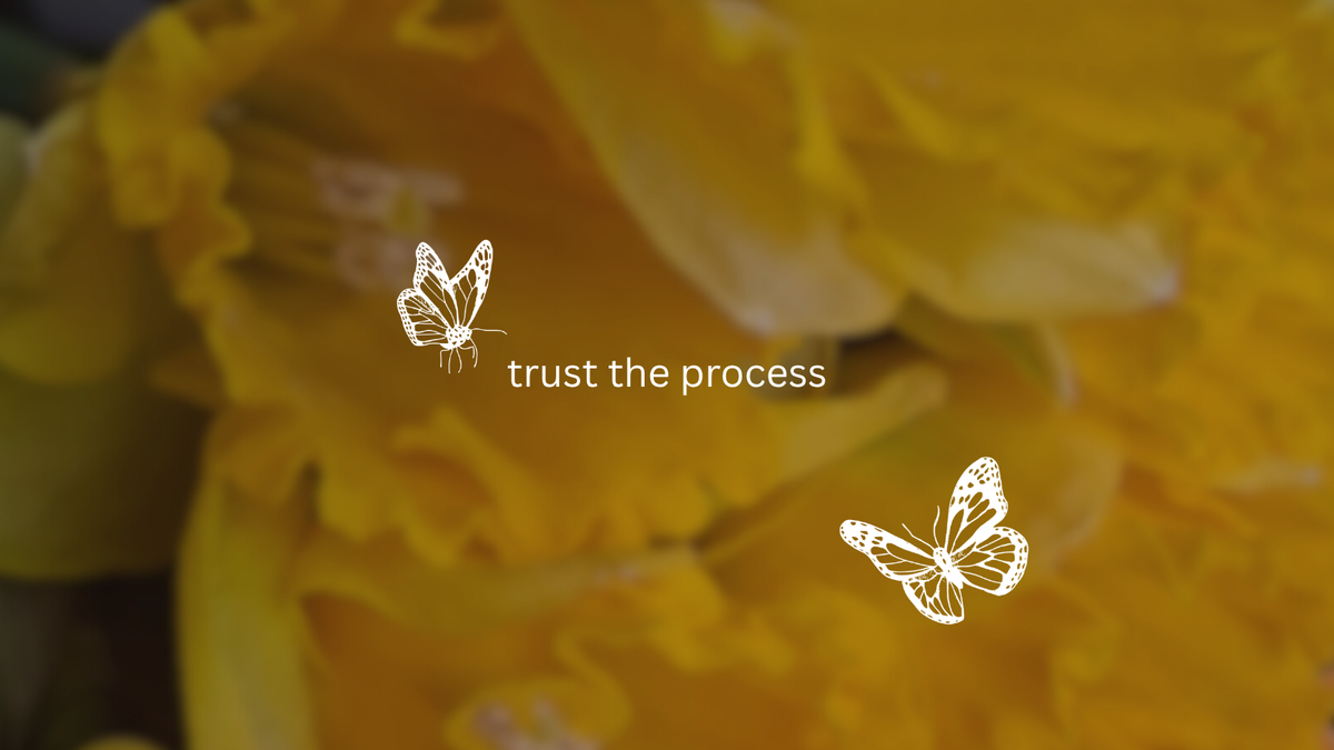 Trust the Process