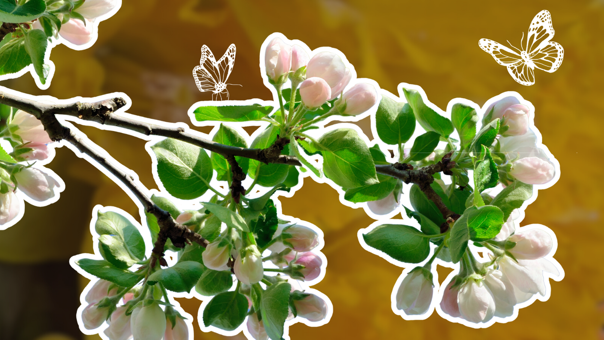 5 Ways to Reset and Refresh for Spring