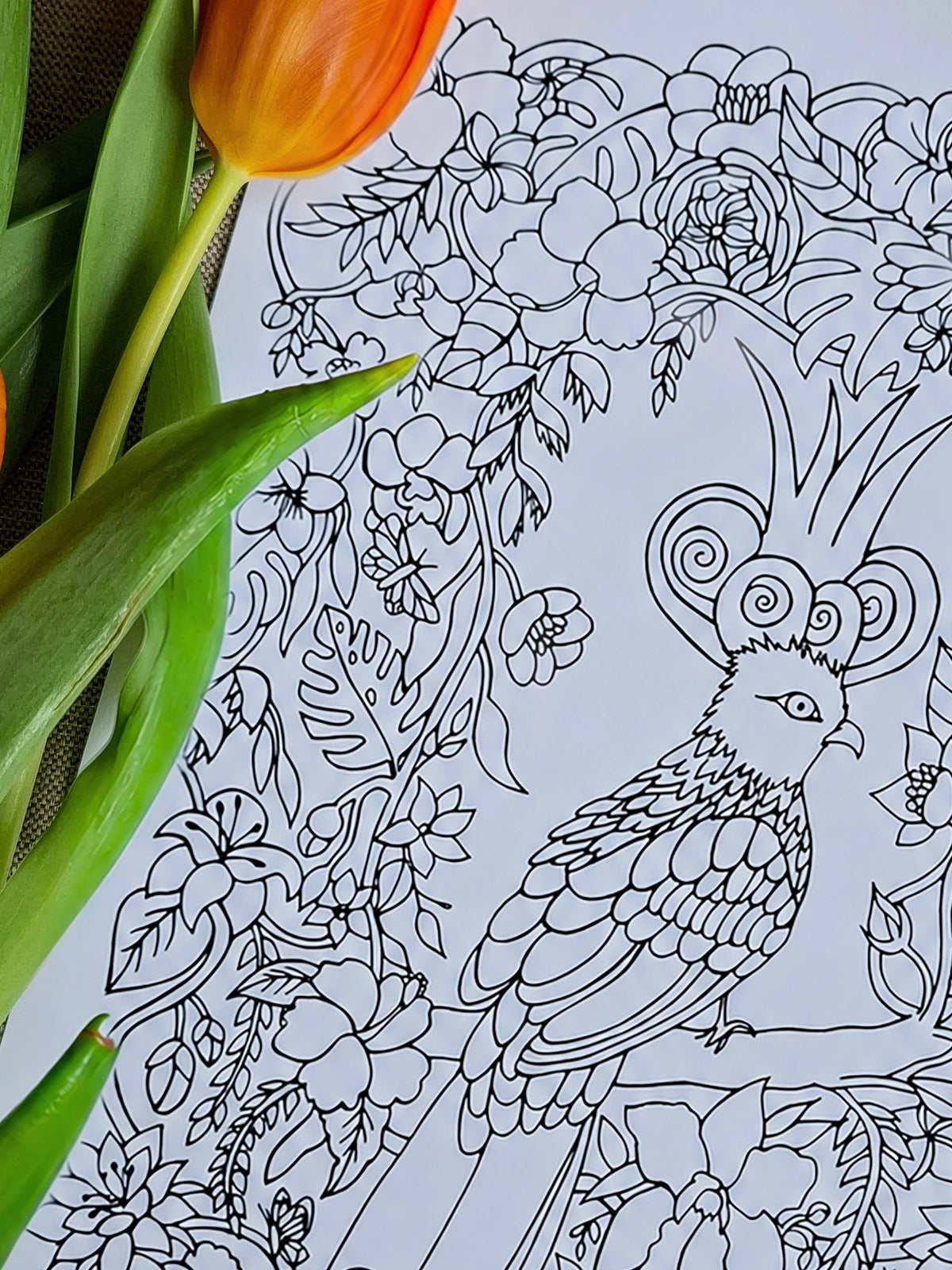 Guardian of Paradise – Sanctuary Coloring Ritual | Digital Download