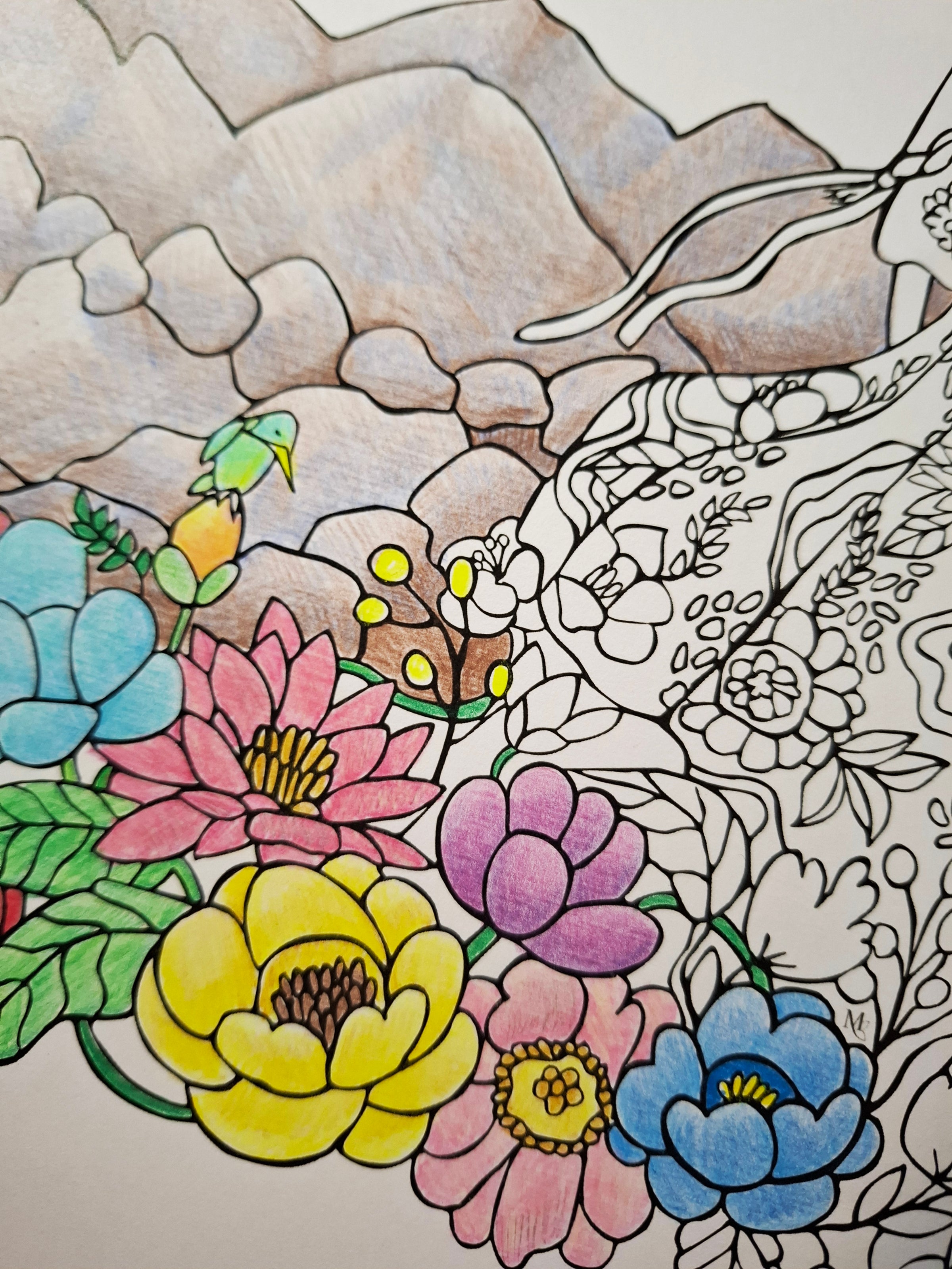 The Dreamer's Journey – Quiet Affirmations Coloring Ritual | Digital Download
