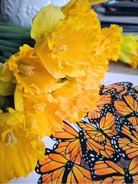 Wings of Change – Printable Line Art | Digital Download